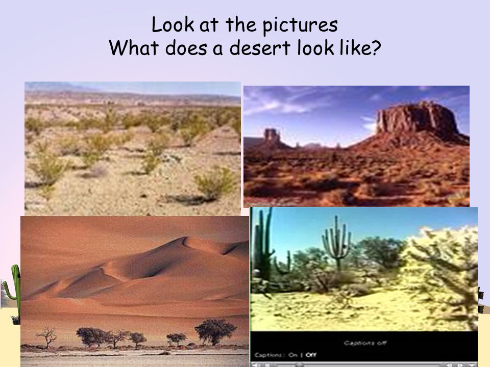 Look at the pictures What does a desert look like