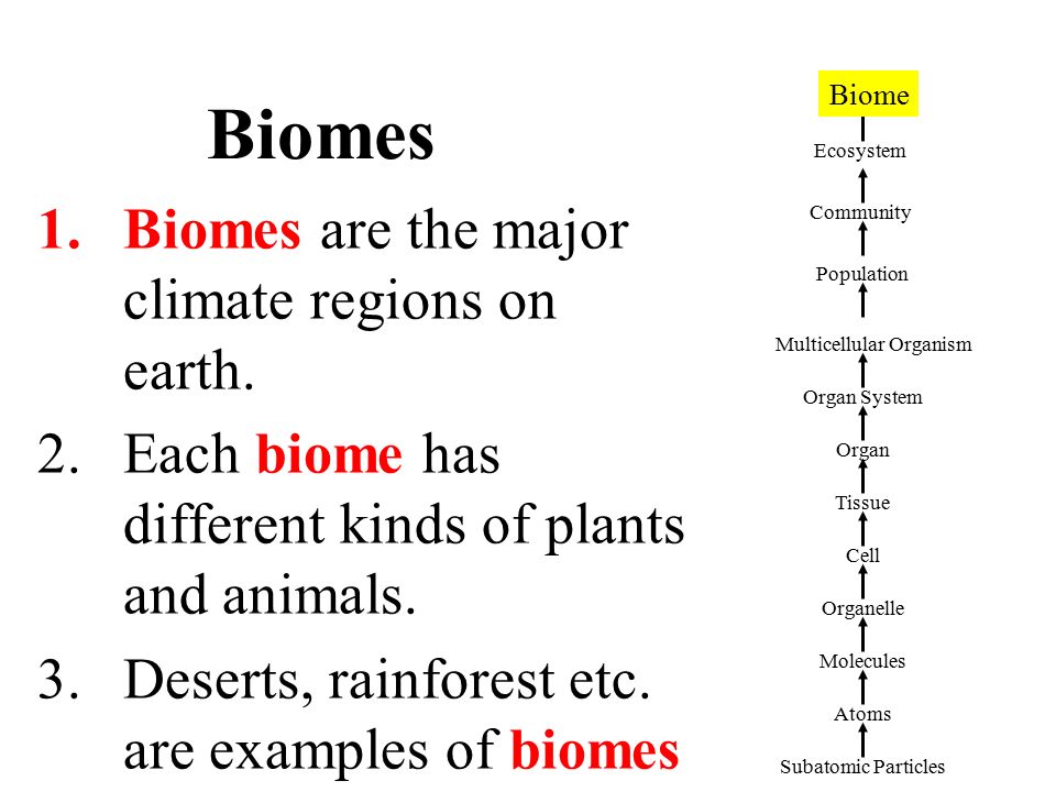 Biomes 1.Biomes are the major climate regions on earth.