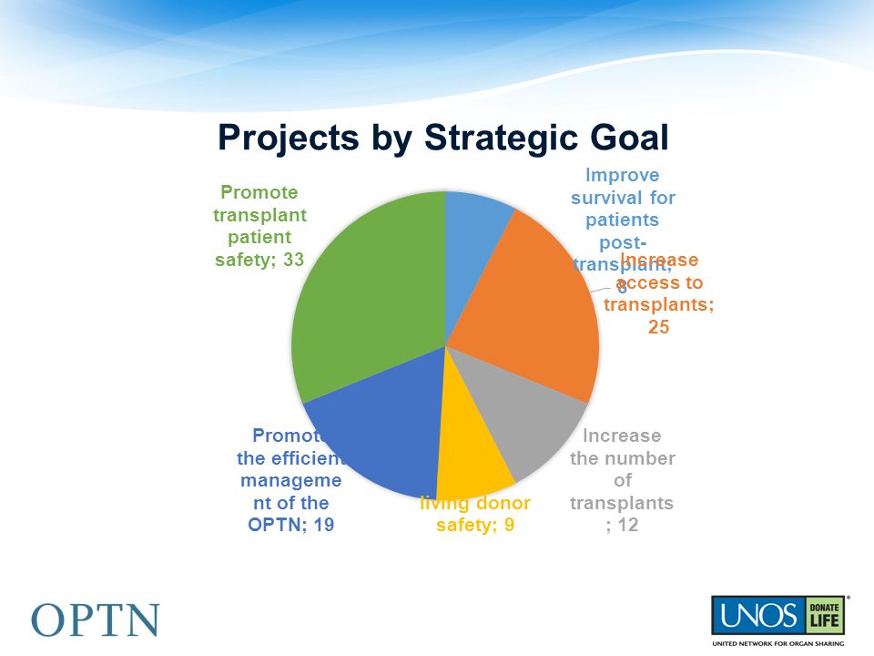 Projects by Strategic Goal