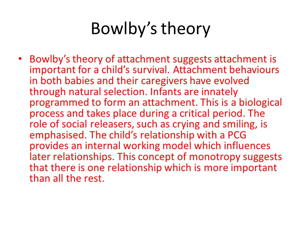 Bowlby’s theory Bowlby’s theory of attachment suggests attachment is important for a child’s survival.