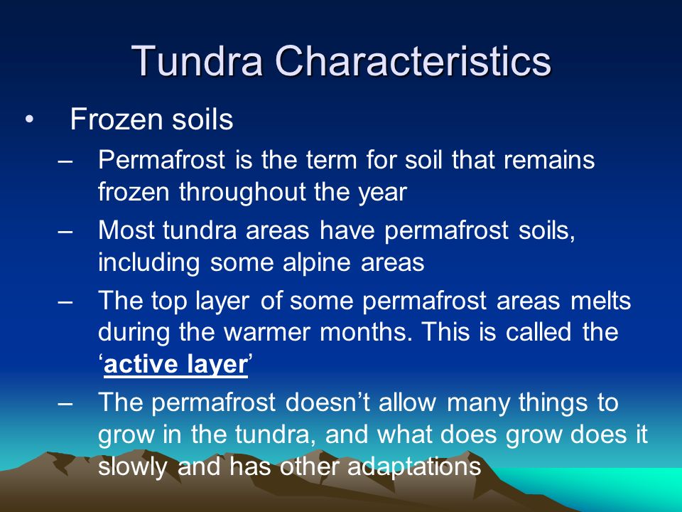 the characteristics of the tundra Characteristics the tundra environment is largely dominated by permafrostexcept beneath some lakes and rivers, this frozen land can extend a few metres to about 1,500 metres below the surface. the characteristics of the tundra Characteristics the tundra environment is largely dominated by permafrostexcept beneath some lakes and rivers, this frozen land can extend a few metres to about 1,500 metres below the surface.