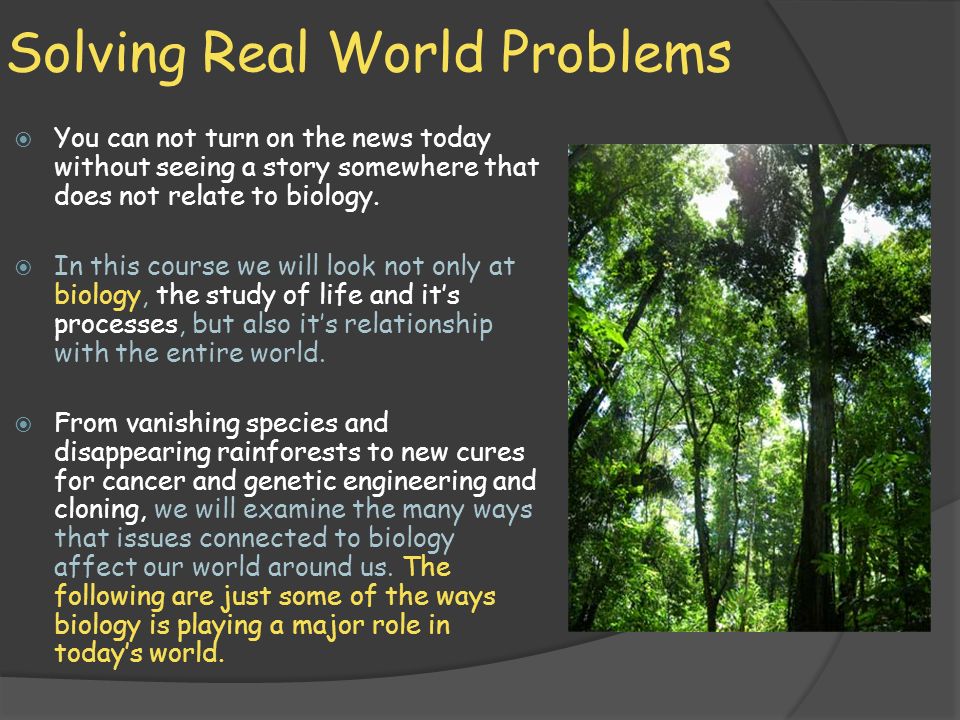 Real World Problem Solving