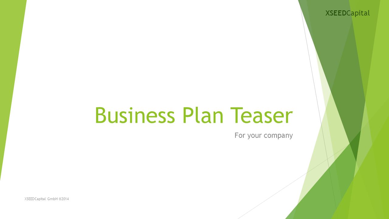 Business Plan Teaser For your company XSEEDCapital GmbH ®2014 XSEEDCapital