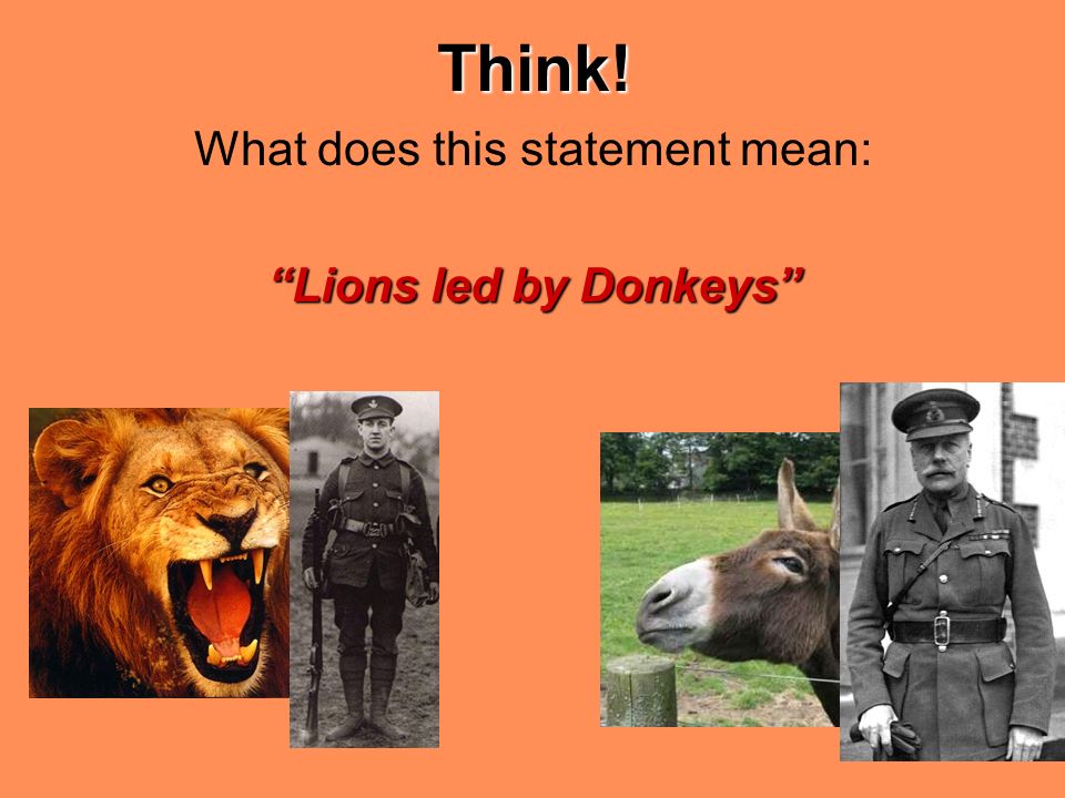 were the british soldiers lions led by donkeys essay The somme - lions led by donkeys - youtube this phrase is the base of my essay essay about lions led by donkeys - 1630 words lions led by donkeys essay lions led by donkeys ever since the end of ww1 in 1918 which was won by the british were the british soldiers lions led by donkeys. were the british soldiers lions led by donkeys essay The somme - lions led by donkeys - youtube this phrase is the base of my essay essay about lions led by donkeys - 1630 words lions led by donkeys essay lions led by donkeys ever since the end of ww1 in 1918 which was won by the british were the british soldiers lions led by donkeys.