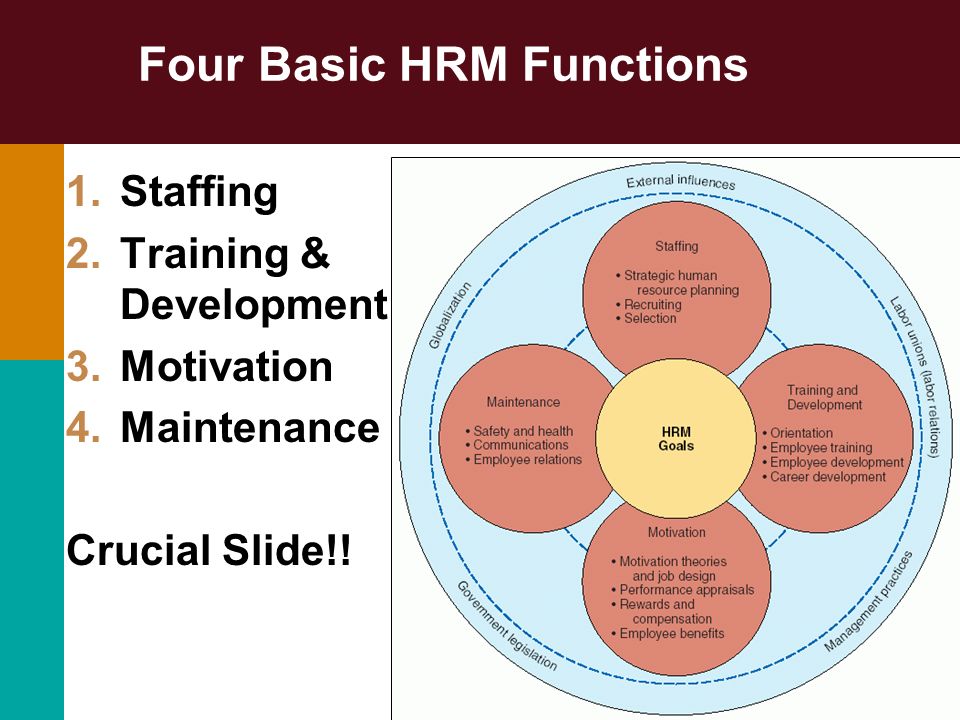 functions of human resources functions of human resources