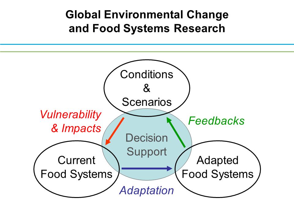 Global Environmental Change and Food Systems Research Conditions & Scenarios Current Food Systems Adapted Food Systems Vulnerability & Impacts Feedbacks Adaptation Decision Support