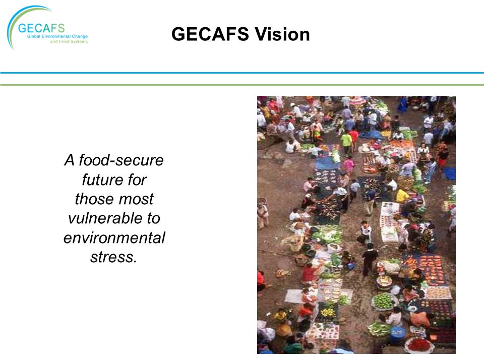 A food-secure future for those most vulnerable to environmental stress. GECAFS Vision