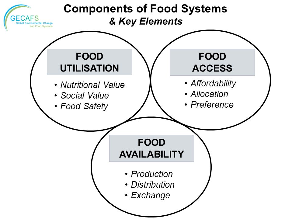 FOOD UTILISATION Components of Food Systems & Key Elements FOOD ACCESS Affordability Allocation Preference Nutritional Value Social Value Food Safety FOOD AVAILABILITY Production Distribution Exchange