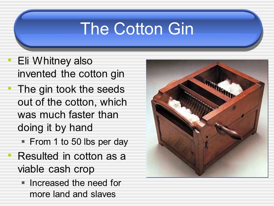 The Cotton Gin Eli Whitney also invented the cotton gin The gin took the seeds out of the cotton, which was much faster than doing it by hand  From 1 to 50 lbs per day Resulted in cotton as a viable cash crop  Increased the need for more land and slaves