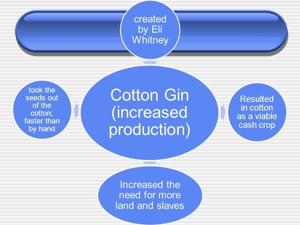 Cotton Gin (increased production) created by Eli Whitney Resulted in cotton as a viable cash crop Increased the need for more land and slaves took the seeds out of the cotton; faster than by hand