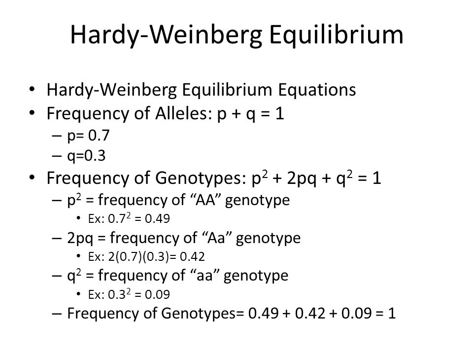 Hardy Weinberg Equation Solver Jennarocca Hardy Weinberg Equilibrium Equation Examples Talkchannels