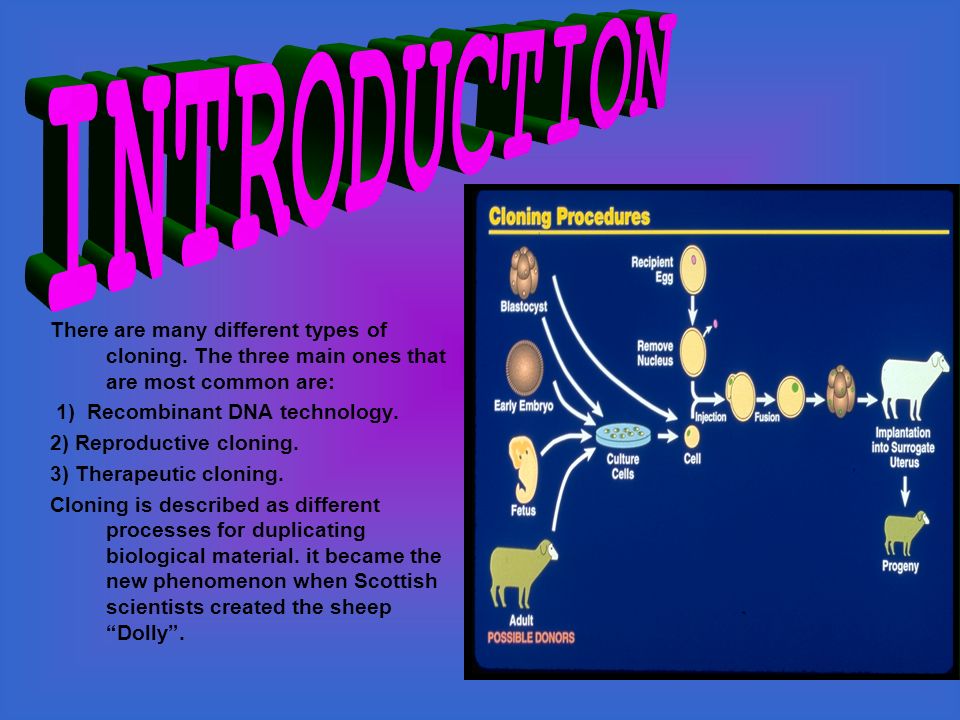types of cloning Restriction enzyme (endonuclease) based molecular cloning is the classic cloning method, and for many reasons, remains one of the most popular today in a restriction. types of cloning Restriction enzyme (endonuclease) based molecular cloning is the classic cloning method, and for many reasons, remains one of the most popular today in a restriction.