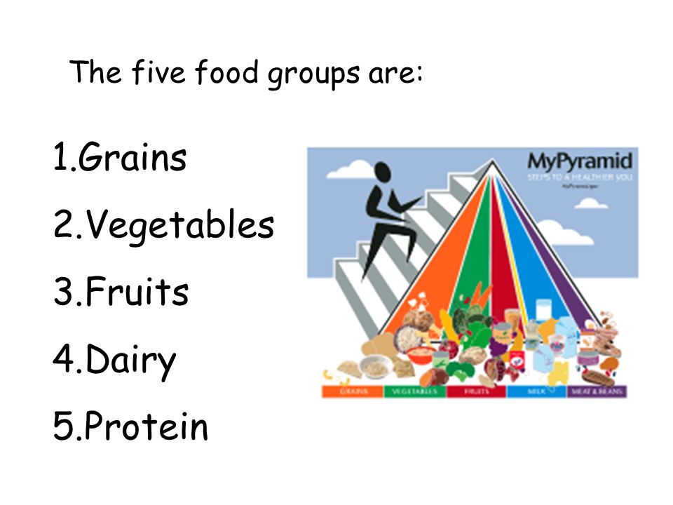 The five food groups are: 1.Grains 2.Vegetables 3.Fruits 4.Dairy 5.Protein
