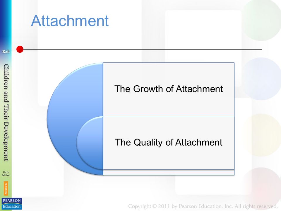 Attachment The Growth of Attachment The Quality of Attachment
