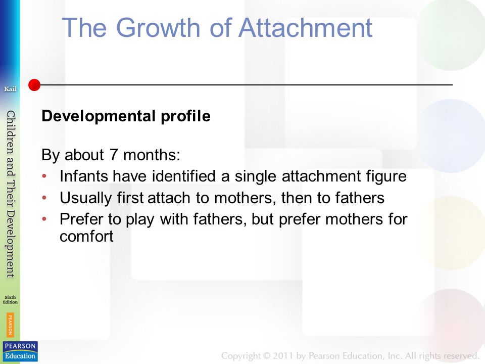 The Growth of Attachment Developmental profile By about 7 months: Infants have identified a single attachment figure Usually first attach to mothers, then to fathers Prefer to play with fathers, but prefer mothers for comfort
