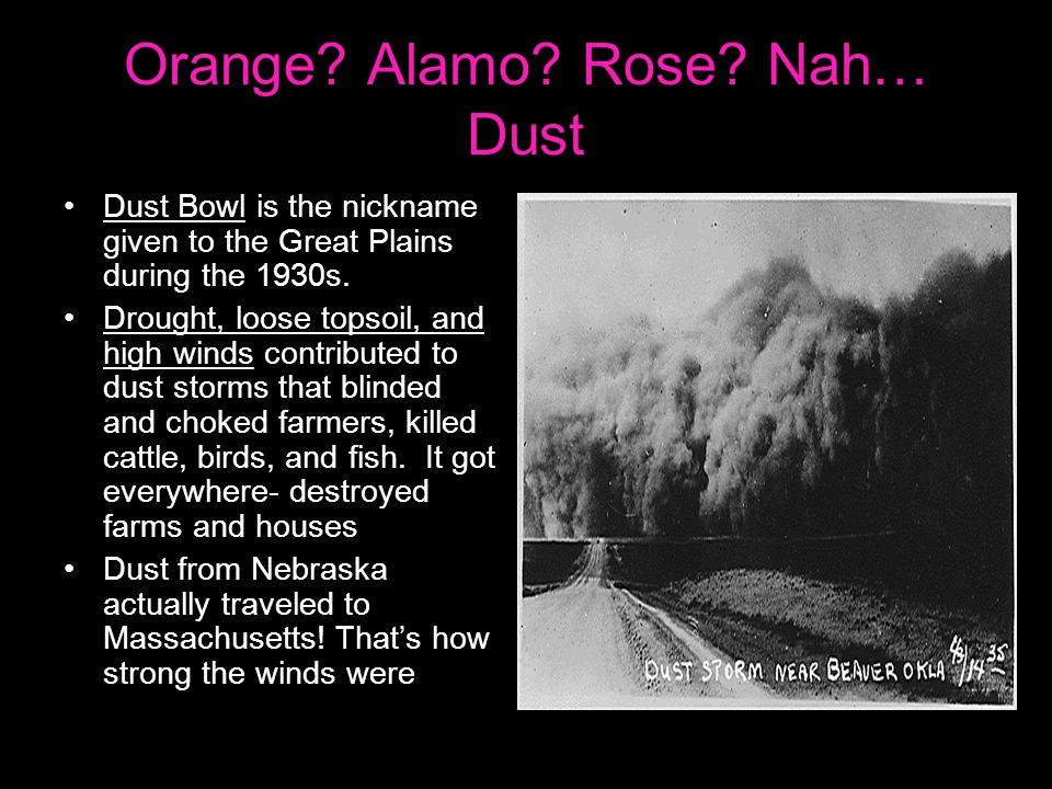 Orange. Alamo. Rose.