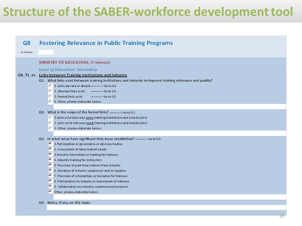 Structure of the SABER-workforce development tool 18