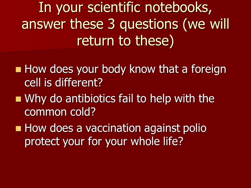 Ap biology essay questions immune system