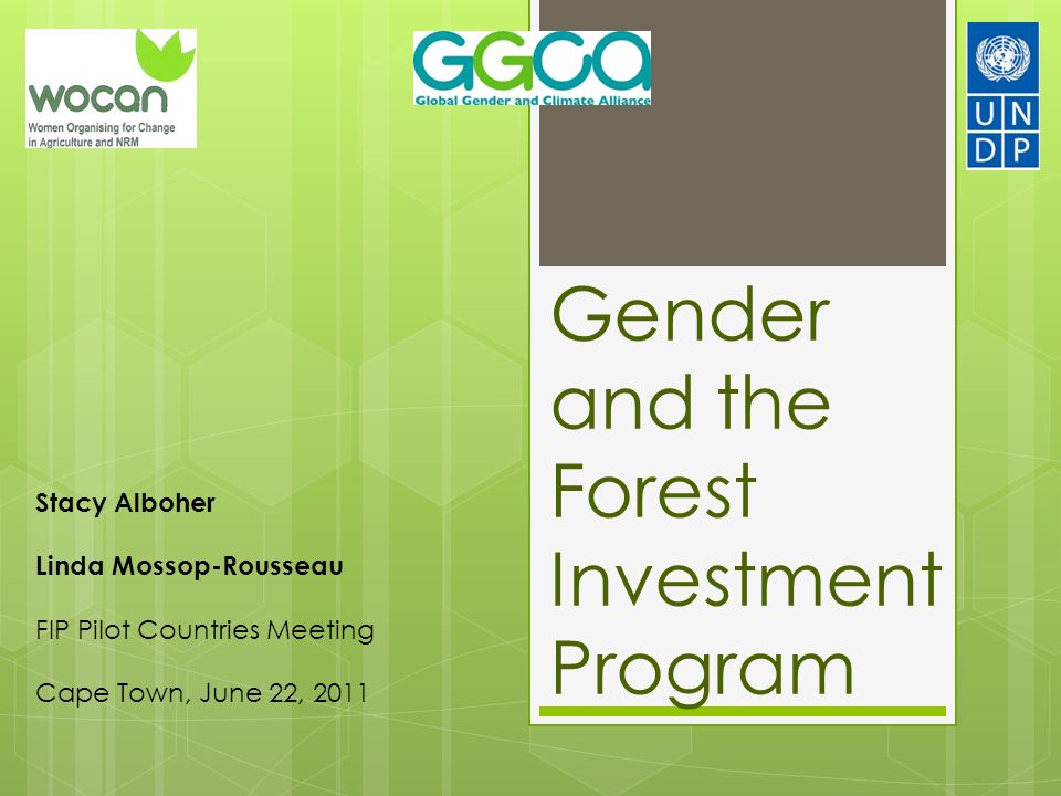 Gender and the Forest Investment Program Stacy Alboher Linda Mossop-Rousseau FIP Pilot Countries Meeting Cape Town, June 22, 2011
