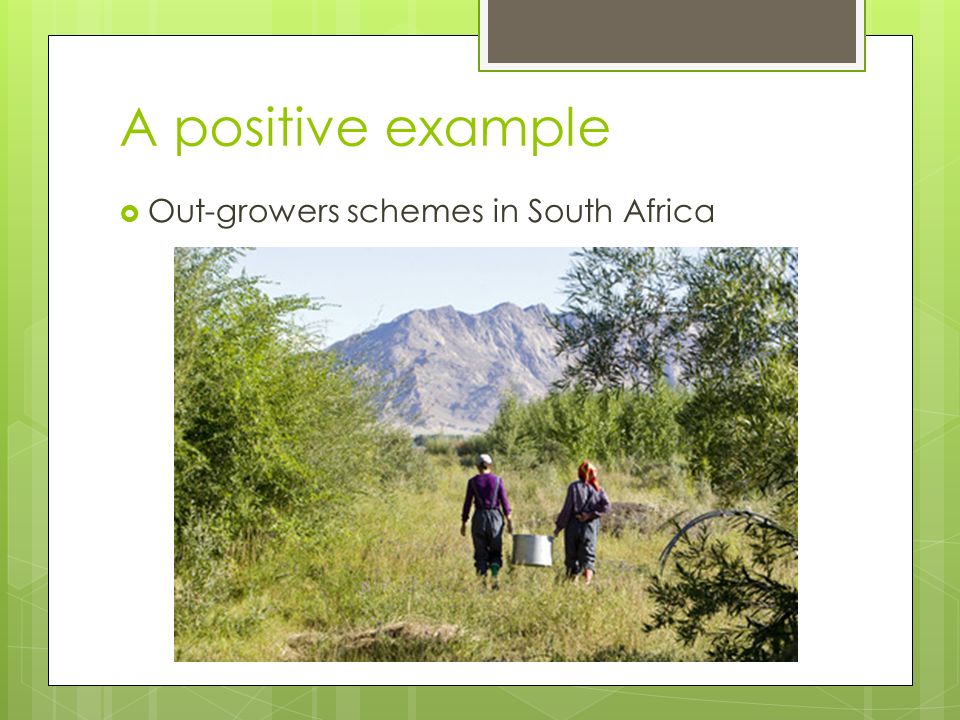 A positive example  Out-growers schemes in South Africa