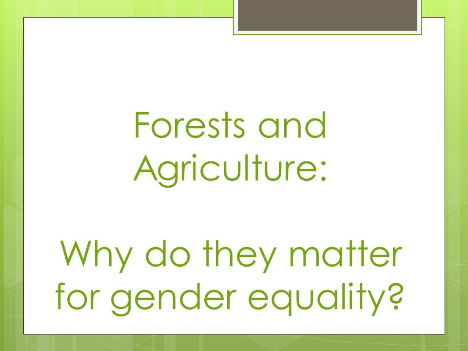 Forests and Agriculture: Why do they matter for gender equality