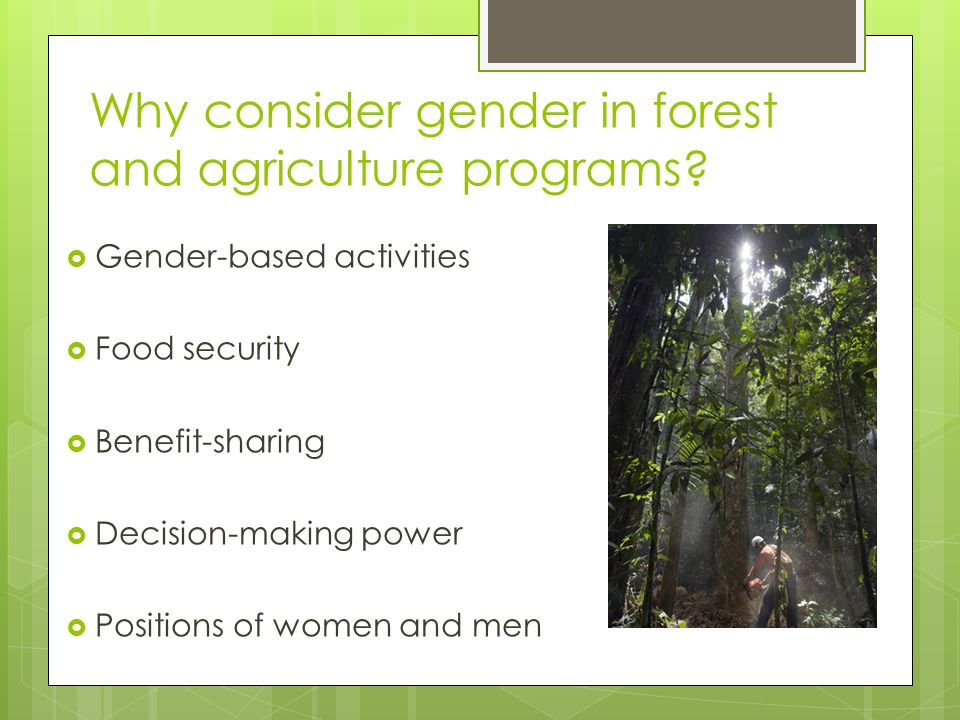 Why consider gender in forest and agriculture programs.