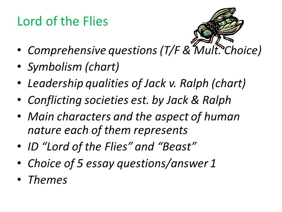 lord of the flies essay question