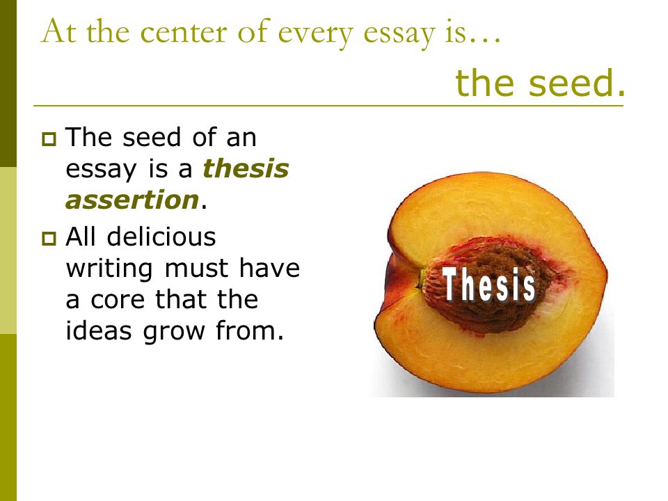 Ideas For A Definition Essay