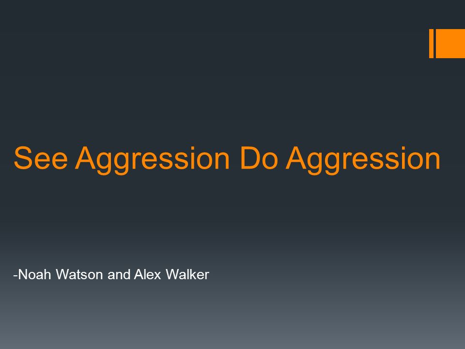 See Aggression Do Aggression -Noah Watson and Alex Walker