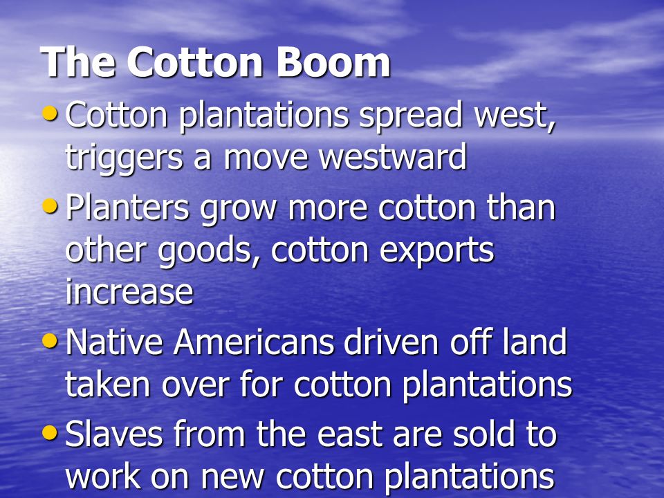 The Cotton Boom Cotton plantations spread west, triggers a move westward Cotton plantations spread west, triggers a move westward Planters grow more cotton than other goods, cotton exports increase Planters grow more cotton than other goods, cotton exports increase Native Americans driven off land taken over for cotton plantations Native Americans driven off land taken over for cotton plantations Slaves from the east are sold to work on new cotton plantations Slaves from the east are sold to work on new cotton plantations