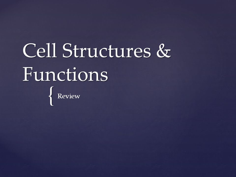 { Cell Structures & Functions Review