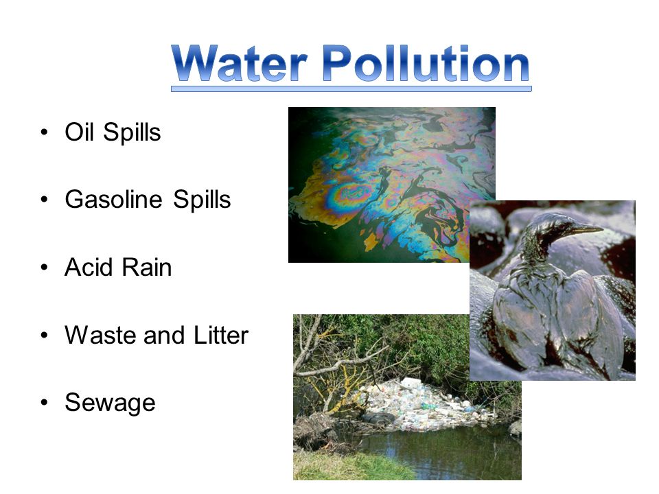 Oil Spills Gasoline Spills Acid Rain Waste and Litter Sewage