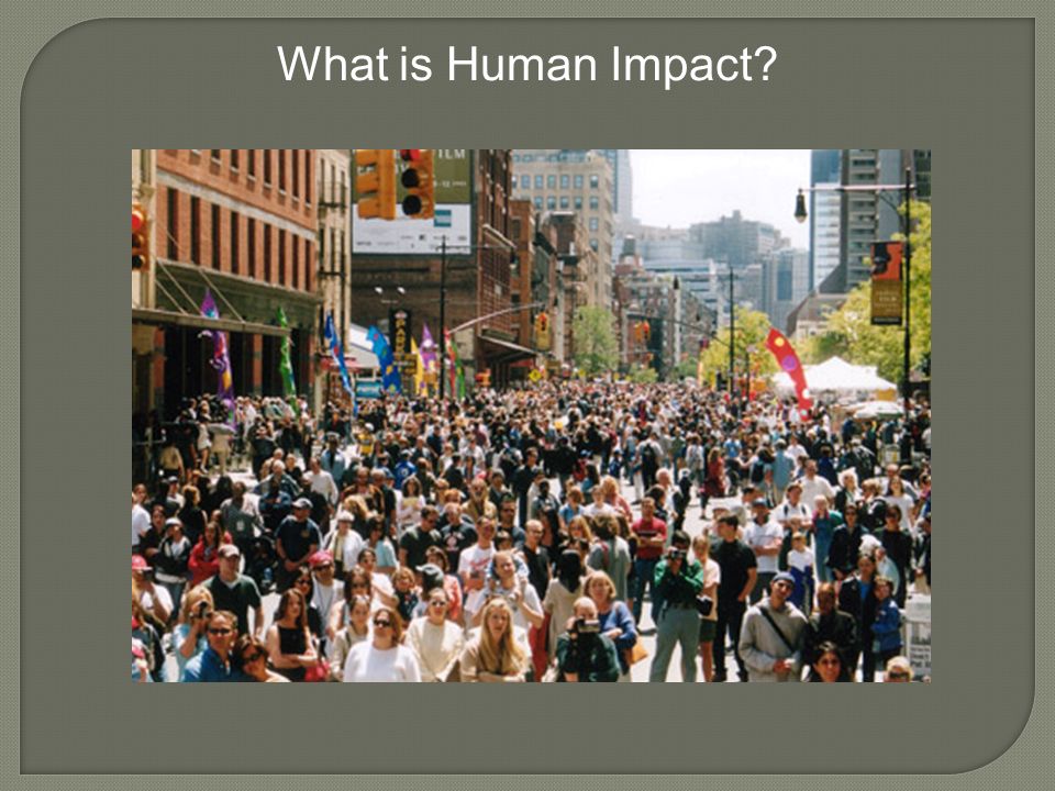 What is Human Impact