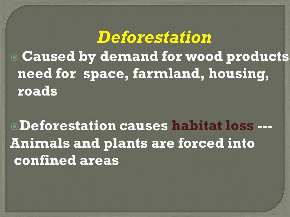 Deforestation  Caused by demand for wood products, need for space, farmland, housing, roads  Deforestation causes habitat loss --- Animals and plants are forced into confined areas