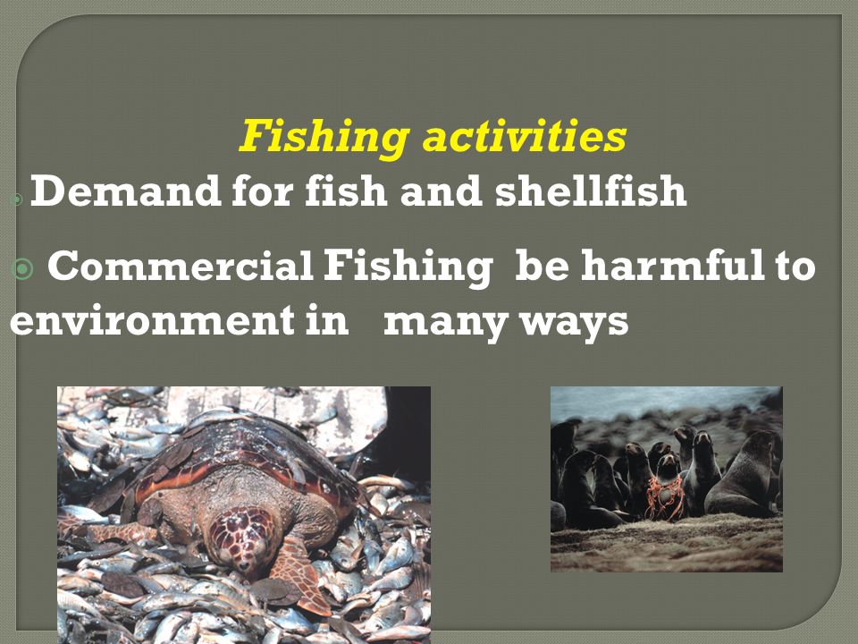 Fishing activities  Demand for fish and shellfish  Commercial Fishing be harmful to environment in many ways