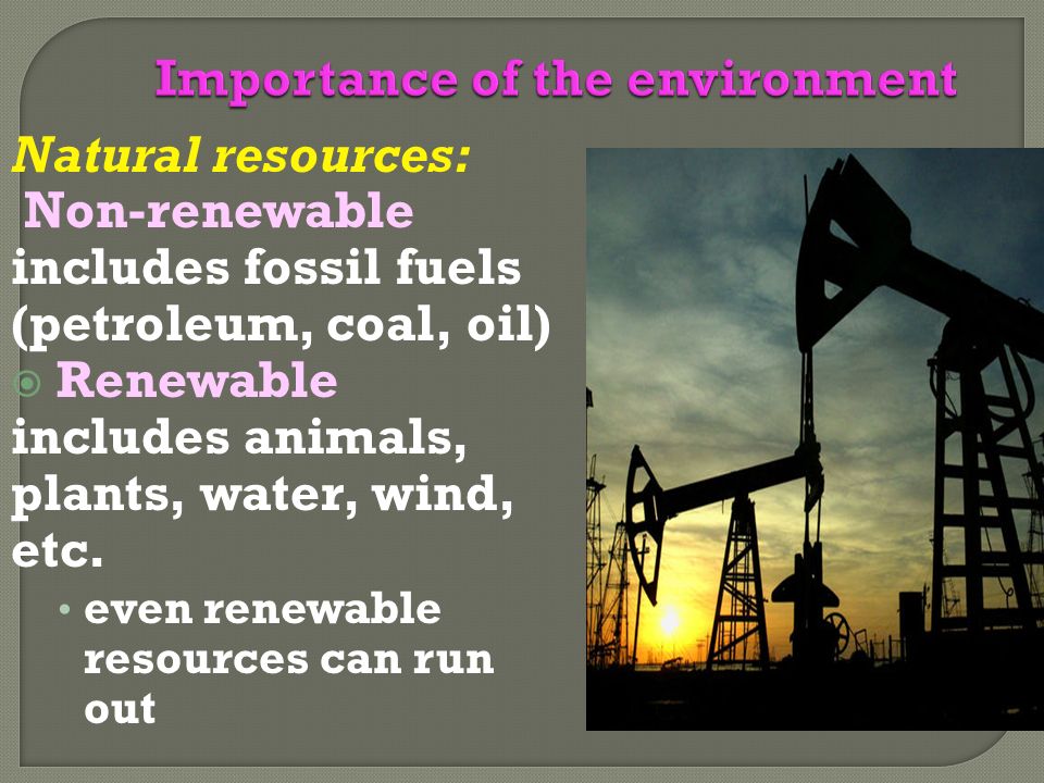 Natural resources: Non-renewable includes fossil fuels (petroleum, coal, oil)  Renewable includes animals, plants, water, wind, etc.
