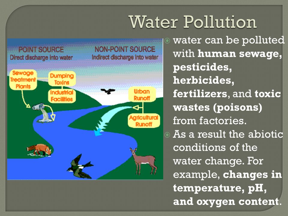 Water Pollution  water can be polluted with human sewage, pesticides, herbicides, fertilizers, and toxic wastes (poisons) from factories.