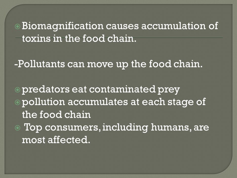  Biomagnification causes accumulation of toxins in the food chain.