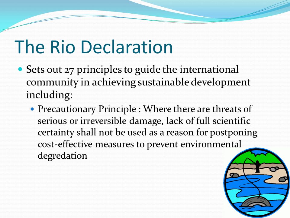 The Rio Declaration Sets out 27 principles to guide the international community in achieving sustainable development including: Precautionary Principle : Where there are threats of serious or irreversible damage, lack of full scientific certainty shall not be used as a reason for postponing cost-effective measures to prevent environmental degredation