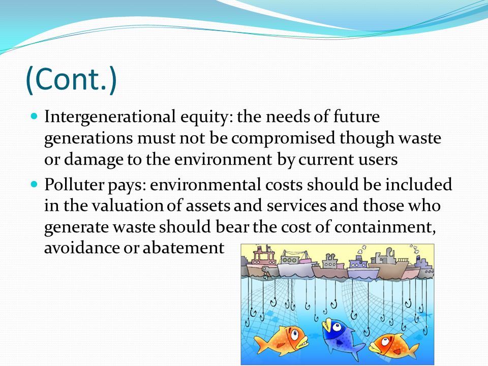 (Cont.) Intergenerational equity: the needs of future generations must not be compromised though waste or damage to the environment by current users Polluter pays: environmental costs should be included in the valuation of assets and services and those who generate waste should bear the cost of containment, avoidance or abatement