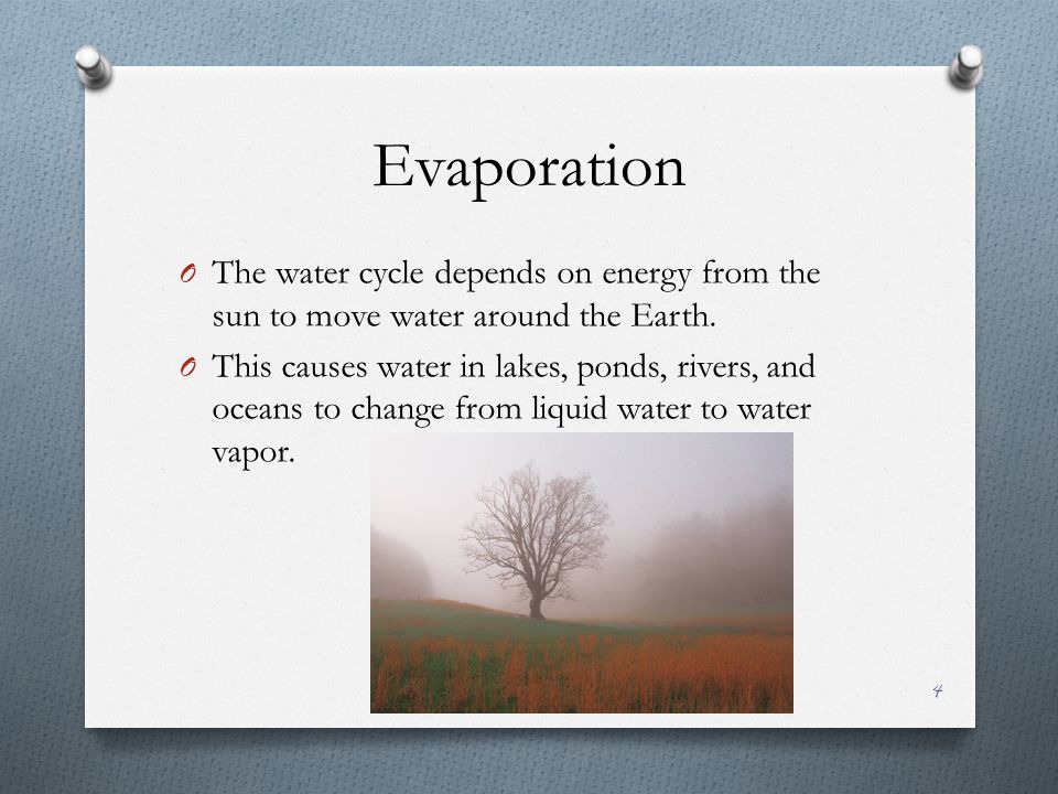 Evaporation O The water cycle depends on energy from the sun to move water around the Earth.