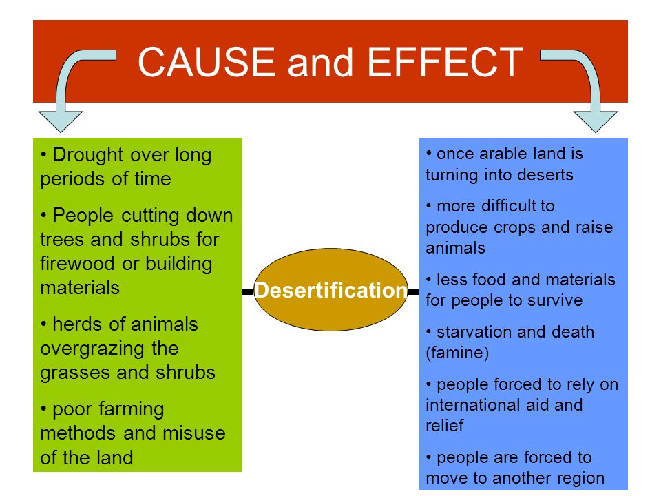 desertification essay desertification essay