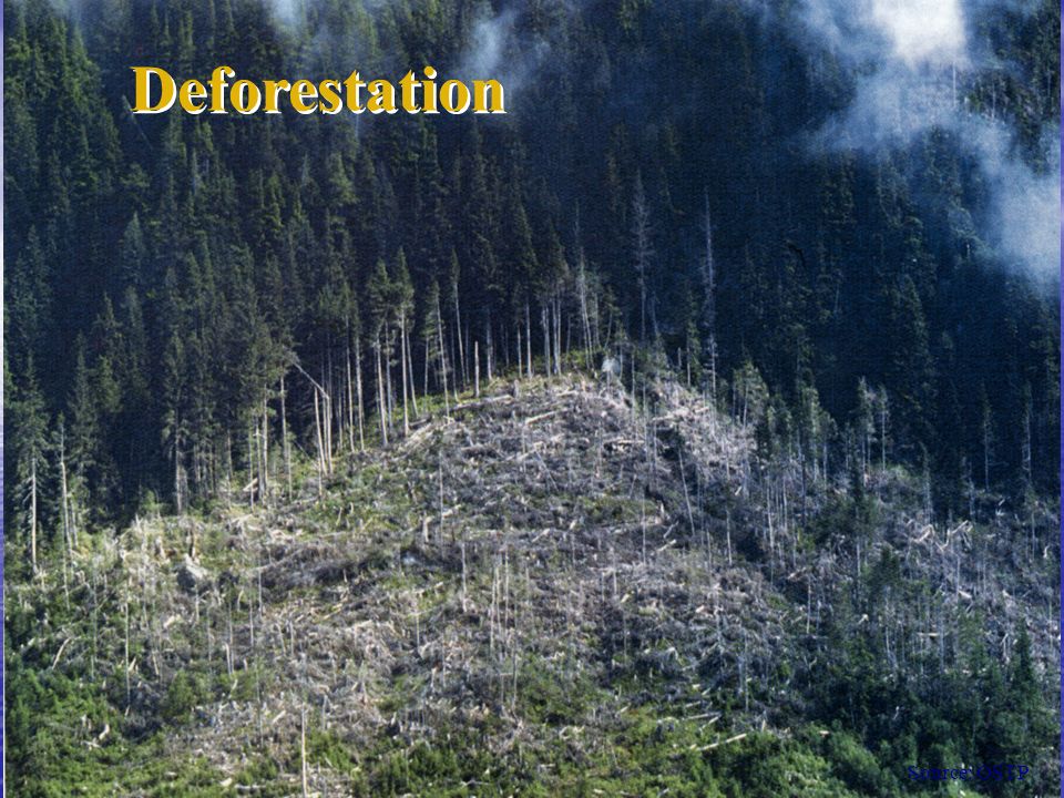 Deforestation Source: OSTP