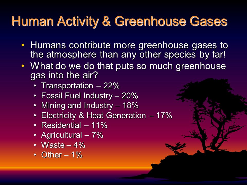 Human Activity & Greenhouse Gases Humans contribute more greenhouse gases to the atmosphere than any other species by far!Humans contribute more greenhouse gases to the atmosphere than any other species by far.