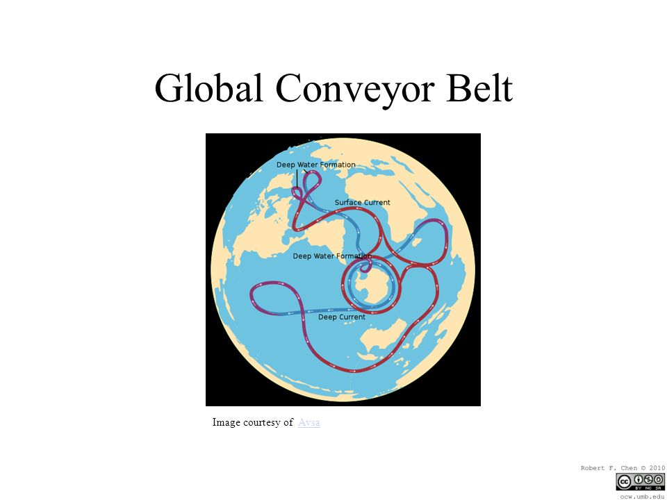 Global Conveyor Belt Image courtesy of AvsaAvsa