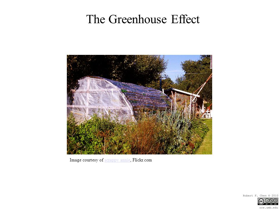 The Greenhouse Effect Image courtesy of scrappy annie, Flickr.comscrappy annie
