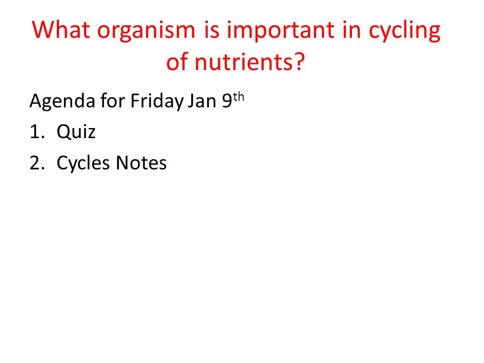 What organism is important in cycling of nutrients.