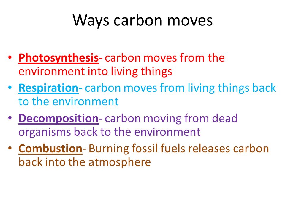 Ways carbon moves Photosynthesis- carbon moves from the environment into living things Respiration- carbon moves from living things back to the environment Decomposition- carbon moving from dead organisms back to the environment Combustion- Burning fossil fuels releases carbon back into the atmosphere