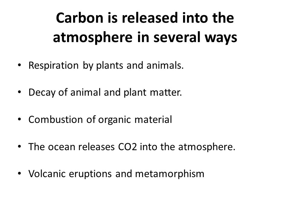 Carbon is released into the atmosphere in several ways Respiration by plants and animals.
