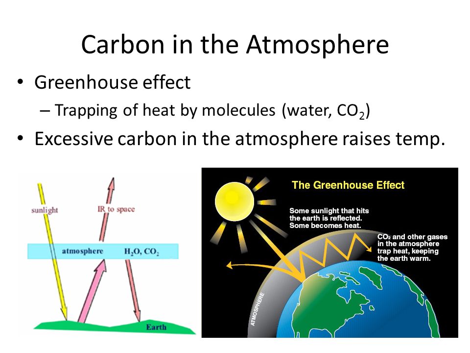 Carbon in the Atmosphere Greenhouse effect – Trapping of heat by molecules (water, CO 2 ) Excessive carbon in the atmosphere raises temp.